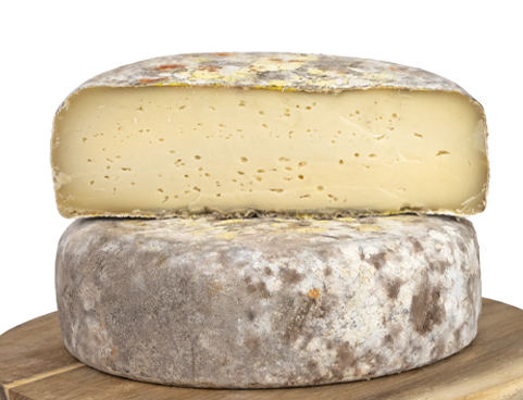 TOMA CONTADINO INNAMORATO